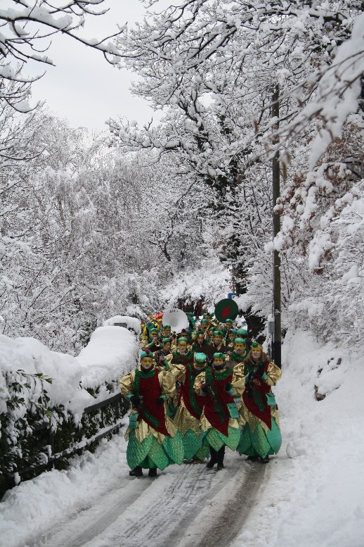 gran_carnevale_tremonese_2012 (06).jpg
